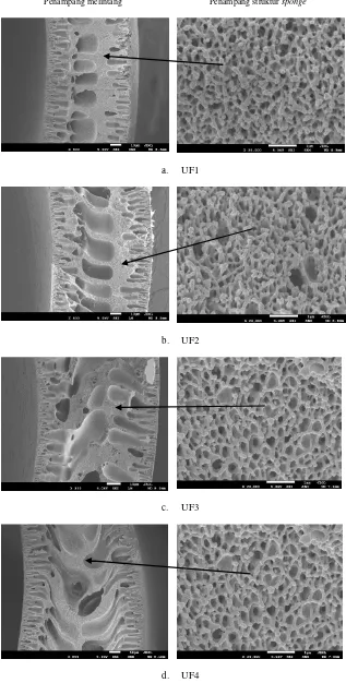 Gambar 3. Struktur morfologi membran hollow fiber bagian penampang melintang. Struktur sponge membran UF2 ini juga lebih kecil daripada membran UF1
