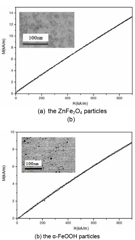 Figure 3. Field-deduced effect of light transmission for sample ZnFe 2O4 ferrofluids when the magnetic field is 1300Gs 