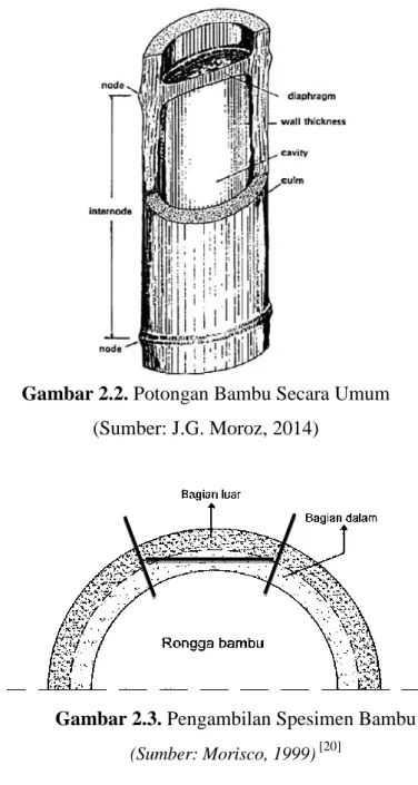 Gambar 2.3. Pengambilan Spesimen Bambu  (Sumber: Morisco, 1999)  [20]
