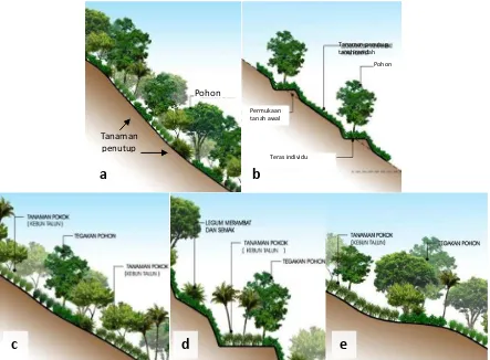Gambar 3. Konsep talun pada kemiringan 30-45%; (d) Aplikasi teras pada kebun talun 30-45%; dan (e) Kebun talun pada Forestry: (a) Hutan campuran; (b) Aplikasi teras individu