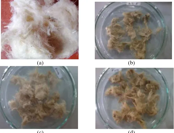 Gambar 1. Morfologi tepung bulu ayam sebelum dan setelah fementasi dengan berbagai jumlah inokulum