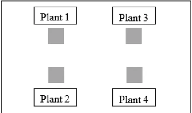 Figure 3.2  Position of plant in storage box 