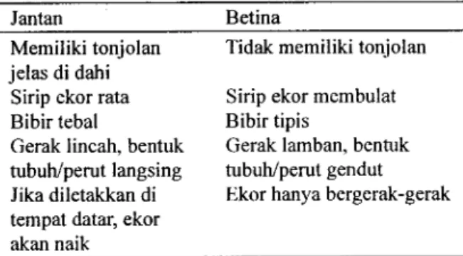 Tabel 1 . Perbedaan jantan dan betina Jantan