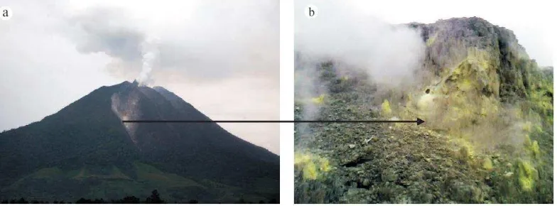Gambar 4.1 (a) Gunung Sinabung. (b) Aktivitas solfatara pada Gunung Sinabung (Sutawidjaja et al, 2013) 