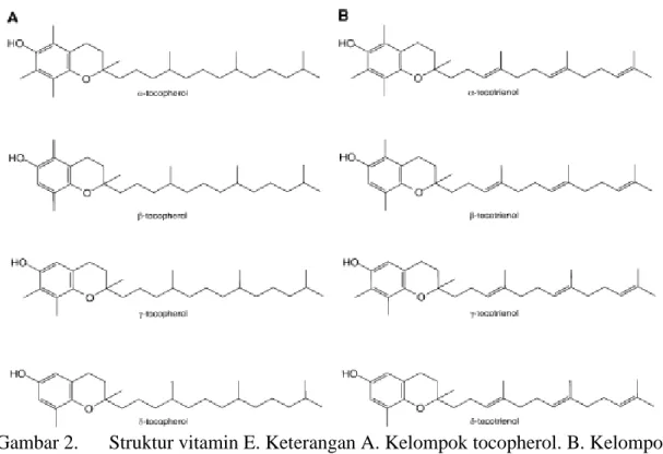 Gambar 2.  Struktur vitamin E. Keterangan A. Kelompok tocopherol. B. Kelompok  tocotrienol (Brigelius-Flohe, 1999) 