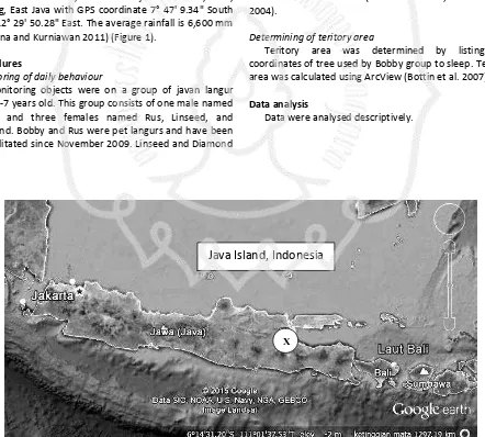 Figure 1. Location of javan langur (T. auratus) release site of Bobby group at Biru Mountain, Batu, East Java; point X (7° 47' 9.34" S and 112° 29' 50.28" E) 