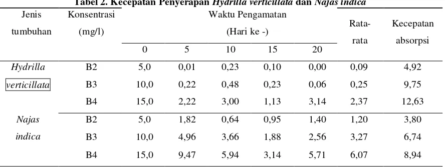 Tabel 2. Kecepatan Penyerapan Hydrilla verticillata dan Najas indica 