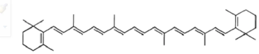 Gambar 1.1. Struktur Kimia Beta karoten 