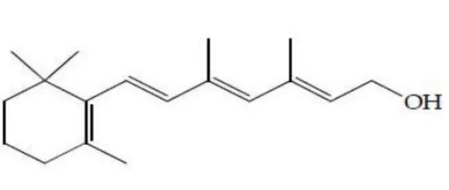 Gambar 1.3. Struktur dari vitamin A (retinol) 