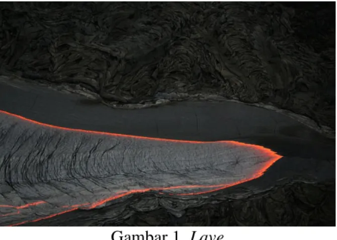Gambar 1. Lave