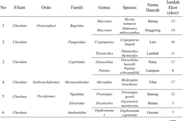 Tabel  1  menjelaskan  bahwa  jenis  ikan  terbanyak    di  tiga  stasiun  pengamatan  Sungai  Batang  Pelepat  terdiri  dari  famili  Cyprinidae  (3  jenis), Bagridae (2 jenis)