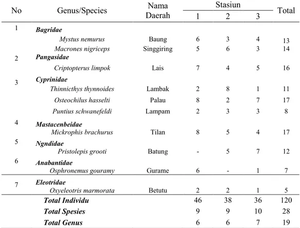 Tabel  2.  Keanekaragaman  Jenis  Ikan  di  Sungai  Batang  Pelepat  Kabupaten  Bungo  No  Genus/Species  Nama  Daerah   Stasiun  Total  1  2  3  1  Bagridae    