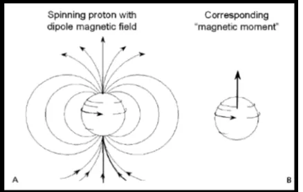 Gambar 2.2 Spinning proton  atom hidrogen (Bushberg,2002) 