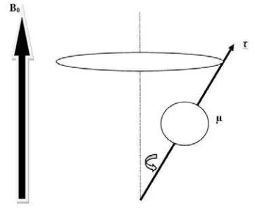Gambar 2.3 Spin dengan medan magnet luar 