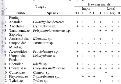 Tabel 8  Jenis tungau yang diperoleh dari ekstraksi umbi bawang merah impor 