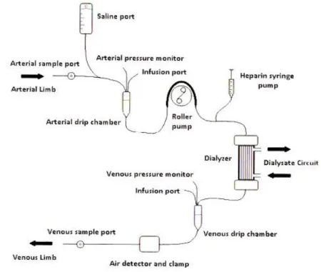 Gambar 2. Skema mekanisme kerja hemodialisa  (Bieber dan Himmelfarb, 2013) 