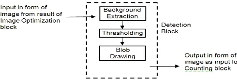 Figure 3. Detail of Detection Block Diagram   