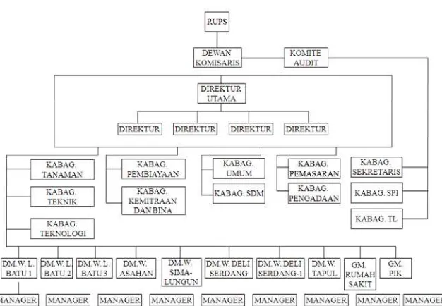 Gambar 2.2. Struktur Organisasi Perusahaan PT. Perkebunan Nusantara III 