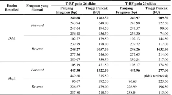 Tabel 2  Pengaruh jumlah siklus PCR terhadap T-RF bakteri Pseudomonas sp.  