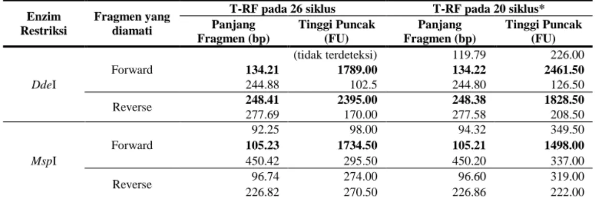Tabel 4  Pengaruh jumlah siklus PCR terhadap T-RF bakteri Pseudomonas aeruginosa  Enzim 