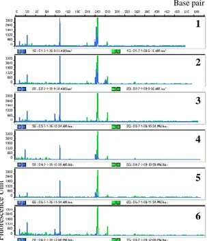 Gambar 11   Profil T-RF pengulangan analisis T-RFLP terhadap campuran genom E. coli, Pseudomonas sp., P