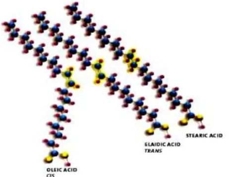 Gambar 2. Struktur kimia dari cis-asam lemak tak jenuh (asam oleat), trans- trans-asam lemak tak jenuh (trans-asam elaidat) dibandingkan dengan trans-asam lemak jenuh 