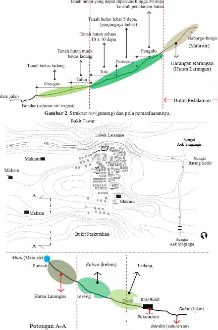 Gambar 2. Struktur tor (gunung) dan pola pemanfaatannya. 