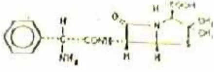 Gambar 2.2. Struktur kimia ampisilin (Farmakope IV, 1995) 