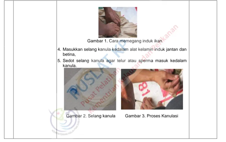 Gambar 2. Selang kanula  Gambar 3. Proses Kanulasi 