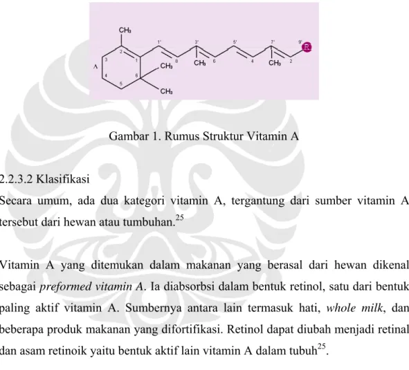 Gambar 1. Rumus Struktur Vitamin A 