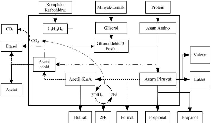 Gambar 1. Jalur metabolik asidogenesa dari glukosa dan substrat senyawa organik kompleks (modifikasi Temudo dkk., 2007; Tang dkk., 2005; Kosaric dan Sukan 2001; Ren dkk., 1997)