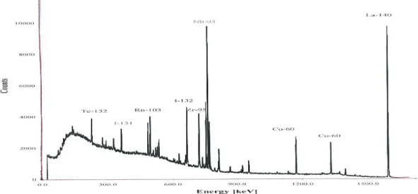 Gambar 1. Spektrum isotop hasil fisi dengan  103 Ru,  95 Zr,  95 Nb dan  140 La[3] 