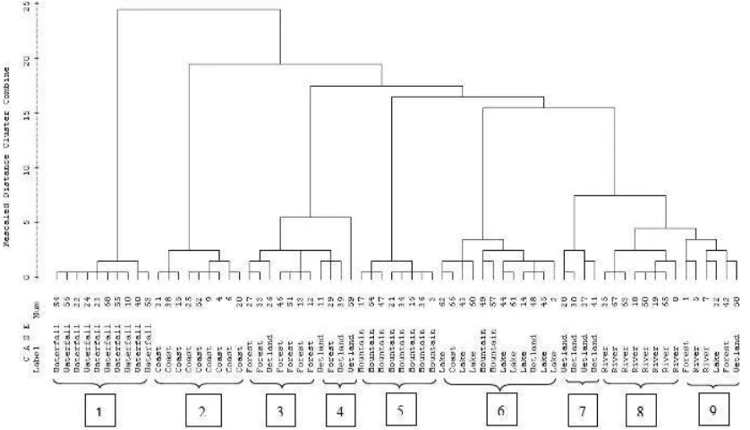 Figure  2. Dendogram of Japanese group. From left to right: 1.waterfall, 2.coast, 3. Forest, 4.wetland inclose-up view, 5.mountain, 6.lake, 7.wetland in distant view, 8.river, dan 9.forest and mountain in distantview