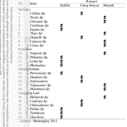 Tabel 17  Beberapa organisme terumbu karang lainnya berdasarkan survey jelajah 
