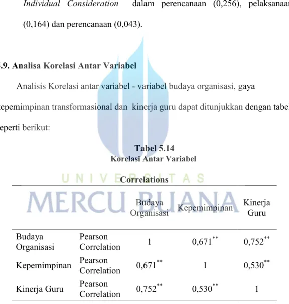 Tabel 5.14  Korelasi Antar Variabel 