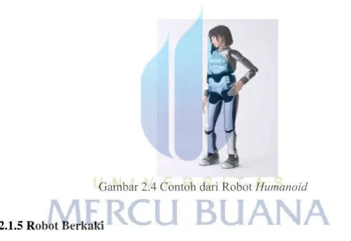 Gambar 2.4 Contoh dari Robot Humanoid 