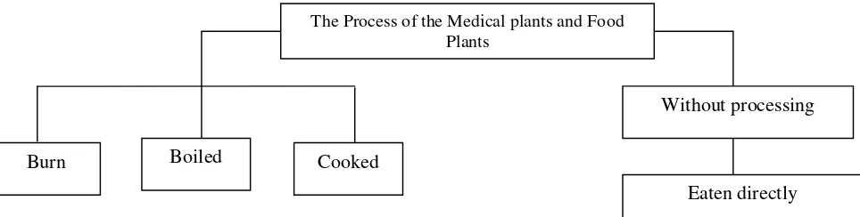 Figure 2. The process of medical plants and food plants