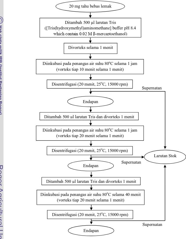 Gambar 8. Diagram alir ekstraksi protein modifikasi Mujoo et al. (2003) 20 mg tahu bebas lemak 