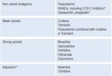 Tabel 2.8-1. Obat farmakologis untuk penanganan nyeri2.  