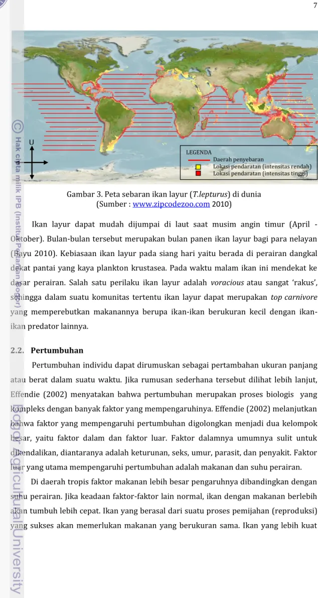 Gambar 3. Peta sebaran ikan layur (T.lepturus) di dunia   (Sumber :  www.zipcodezoo.com  2010) 