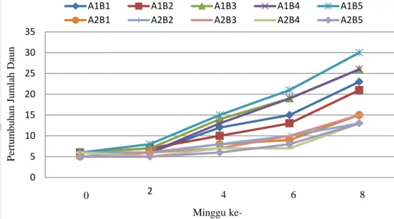 Gambar  13  menunjukkan  pertumbuhan  jumlah  daun  setiap  pengamatan  pada  tanaman  jabon