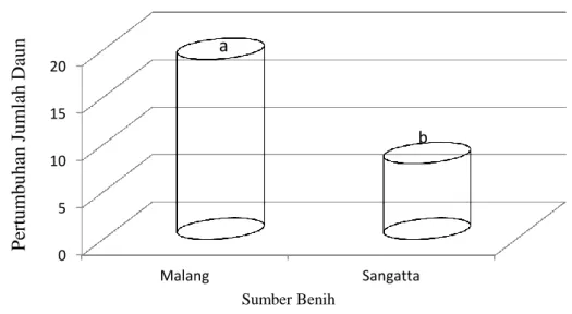 Gambar  14  menunjukkan  sumber  benih  yang  terbaik  adalah  sumber  benih  yang berasal dari Malang dengan jumlah daun 19 dan yang terkecil dari Sangatta  dengan  jumlah  daun  8