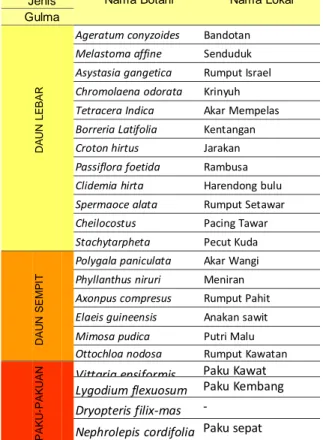 Tabel  1.  Daftar  gulma  yang  teridentifikasi  berdasarkan jenis 