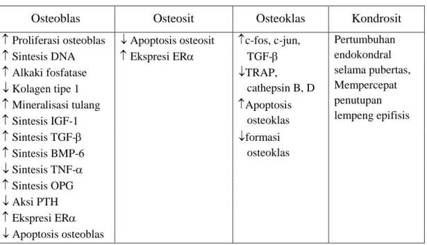 Tabel 4. Efek estrogen terhadap berbagai sel tulang.  1   
