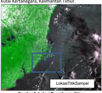 Gambar 1. Lokasi Daerah penelitian  (sumber : Citra Satelit TERRA MODIS)
