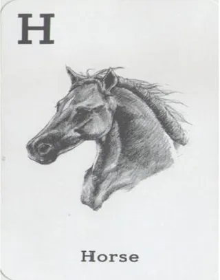 Gambar 2.2.2- model kuda mecanim beserta relasi  dari animasi-animasinya 