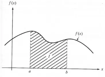 Gambar 2.4 Integral sebagai daerah di bawah kurva. 