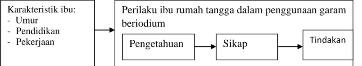 Gambar dari konsep rencana penelitian yang akan dilaksanakan dapat dilihat pada kerangka  konsep berikut, (Singarimbun, 1989): 