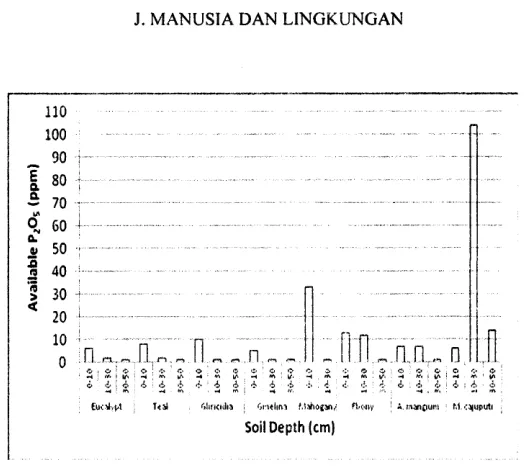 Figure 4, Available P in a variety of forest stands and soil depths