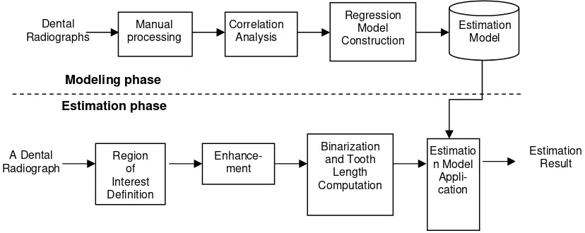 Figure 2. Design of the proposed age estimation system 